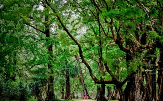 Naiyang Park Resort