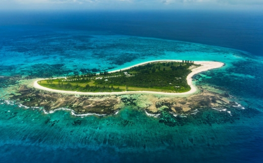 Bird Island Lodge