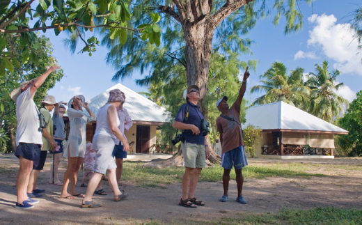 Bird Island Lodge