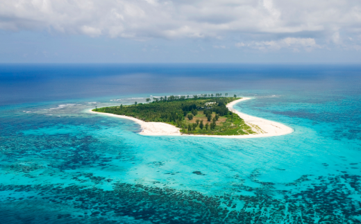 Bird Island Lodge