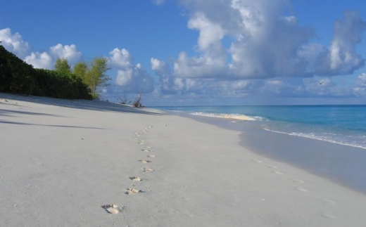 Bird Island Lodge