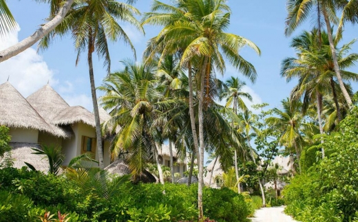 The Nautilus Maldives