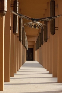 The Ritz-Carlton Ras Al Khaimah, Al Wadi Desert