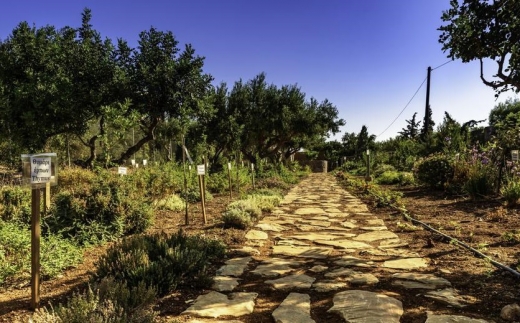 Elounda Spa Villa