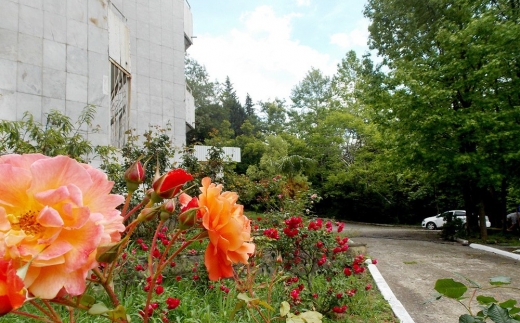 Урал ( Бывш Корп 2 Сан Лазаревское) Санаторий