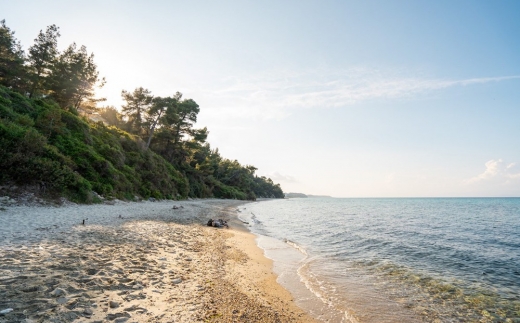 Theo Bungalows Hotel