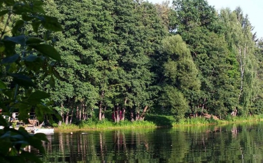 Воздвиженское Парк-Отель