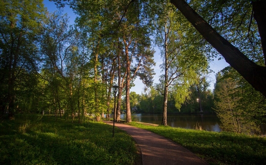 Воздвиженское Парк-Отель