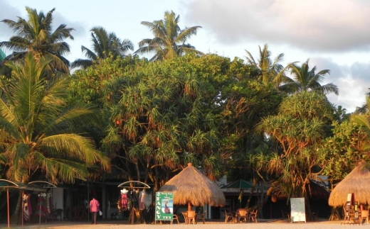 Adare Beach Villa