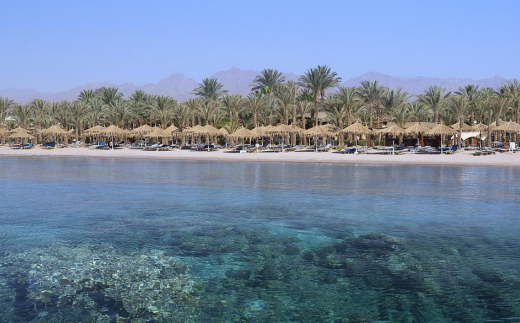 Sharm Dreams Vacation Club