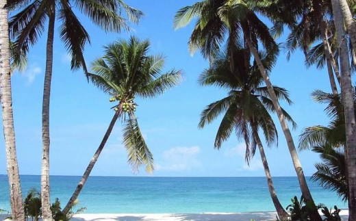Jaz Amaluna Beach Resort Adults Only (16+) (Ex. Palumboreef Beach Resort)