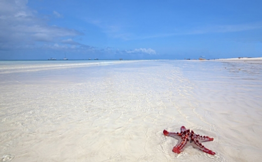 Jaz Amaluna Beach Resort Adults Only (16+) (Ex. Palumboreef Beach Resort)