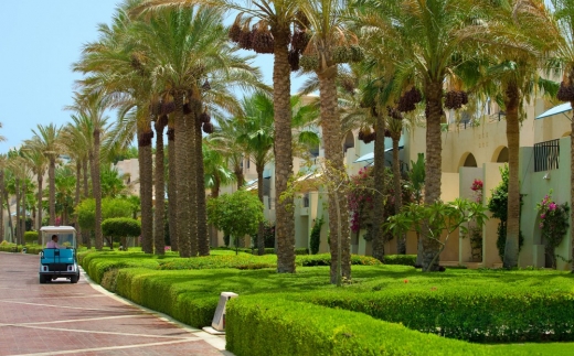 Grand Rotana Villas