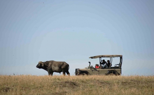 Saruni Mara