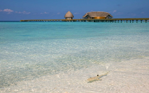 Emerald Faarufushi Resort & Spa