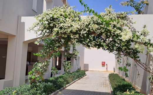Iberotel Casa Del Mar Resort (Ex. Sentido, Jaz Casa Del Mar Resort)