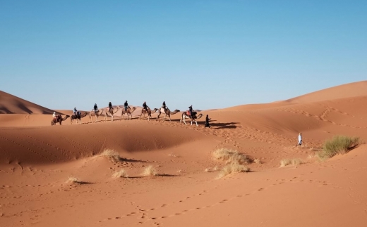 Sealine Beach, A Murwab Resort