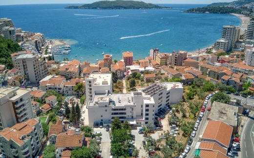 Montenegrina