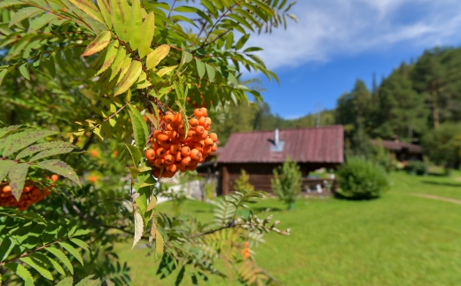 Таежная Заимка (Лесная Сказка) База Отдыха