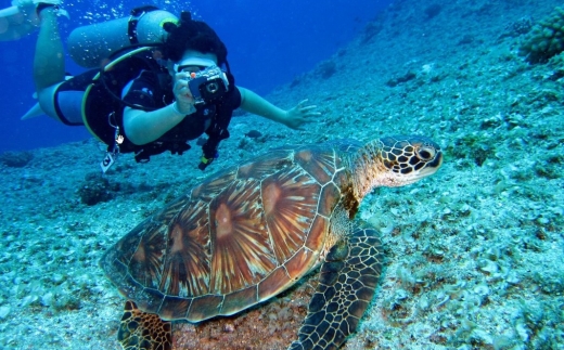 Ifuru Island Maldives