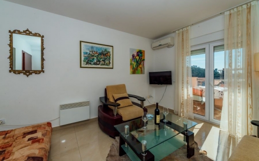 Apartments Andric